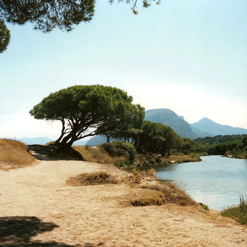 Costa di Orosei: Su Petrosu spiaggia