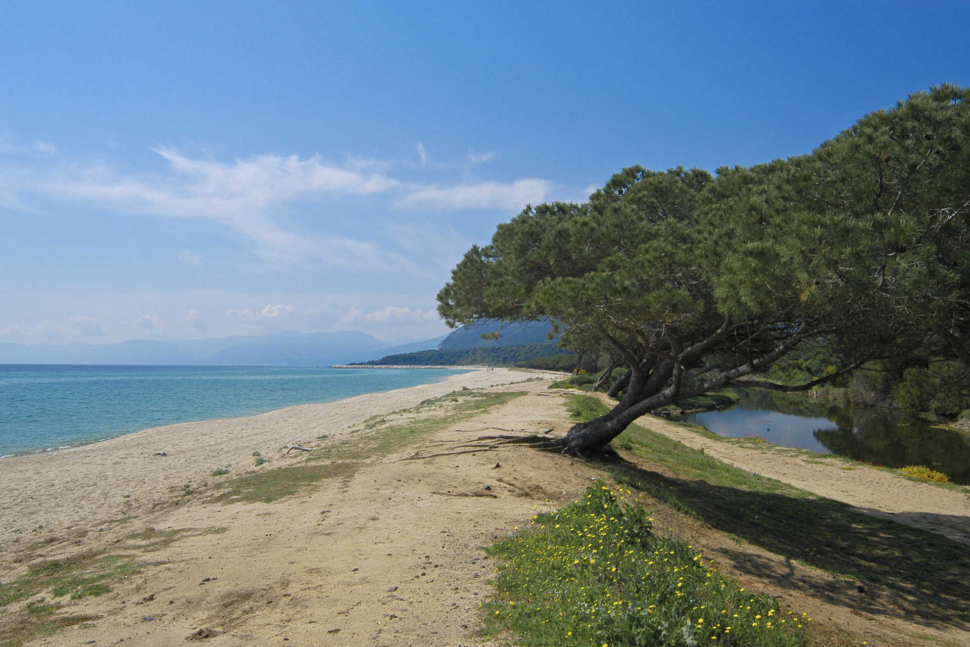 Cala di Osalla: un’autentica bellezza, tra Dorgali e Orosei